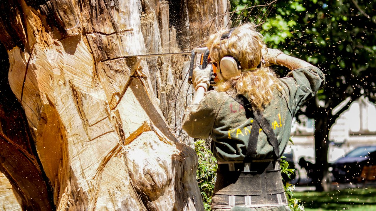 Arborist using a chainsaw to cut a storm-damaged tree in Essex County NJ