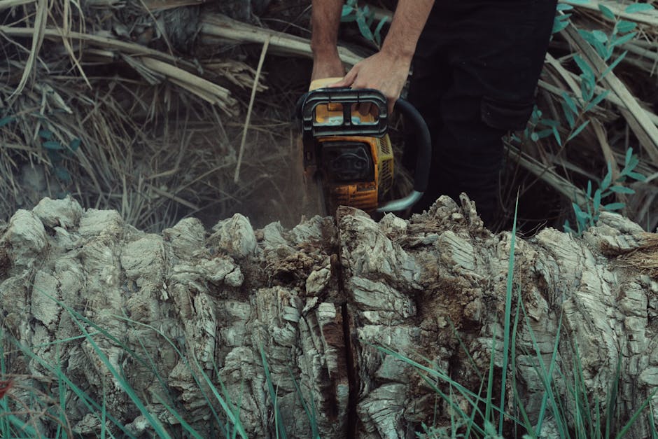Close-up of a man using a chainsaw to cut a tree trunk for residential tree removal in Essex County NJ