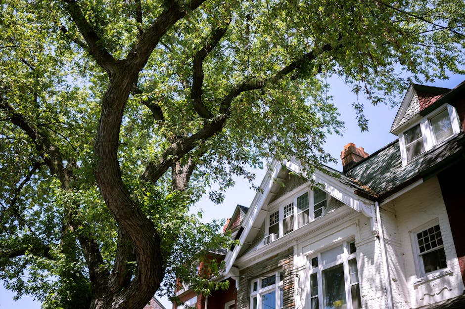 Suburban home with mature trees on the property in Irvington NJ